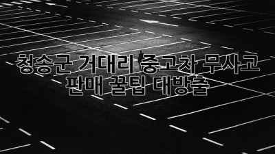 청송군 거대리 중고차 무사고 판매, ✨꿀팁 대방출!✨